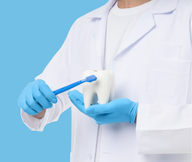 Regular Dental care make Your Smile Brighter